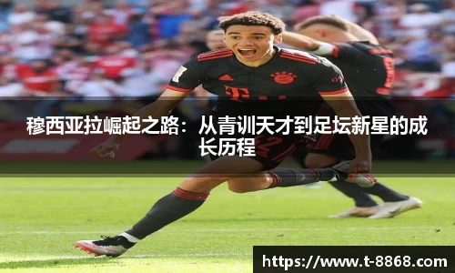 8868体育网页版