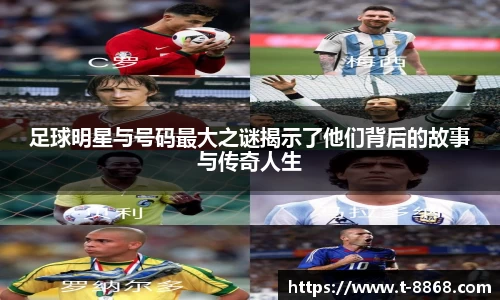 8868体育网页版在线