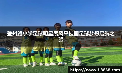 8868体育网页版在线